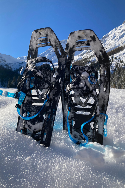 Ehrwald: Zugspitze Snowshoe Hiking Tour with Mountain Views - My call: book it for an easy first snowshoe outing