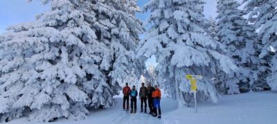 Ehrwald: Zugspitze Snowshoe Hiking Tour with Mountain Views