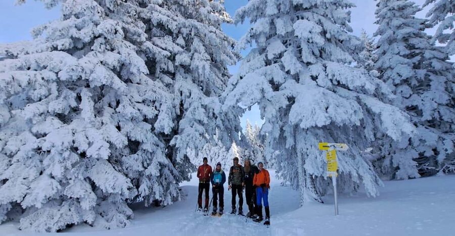 Ehrwald: Zugspitze Snowshoe Hiking Tour with Mountain Views - Wildlife, snow conditions, and the quieter side of winter