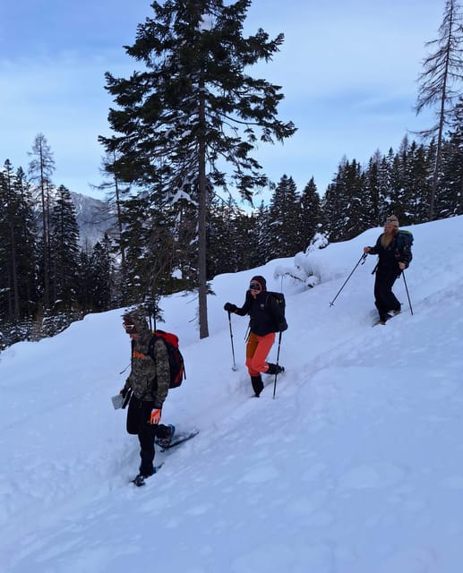 Ehrwald: Zugspitze Snowshoe Hiking Tour with Mountain Views - How the $80 price measures up