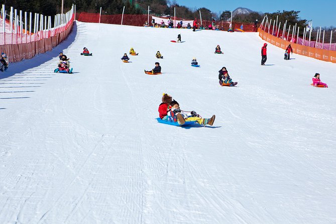 Elysian Gangchon Winter Ski + Eobi Ice Valley Day Tour fr Seoul - How the schedule feels in real use