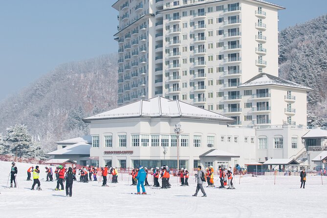 Elysian Gangchon Winter Ski + Eobi Ice Valley Day Tour fr Seoul - Who should book this tour