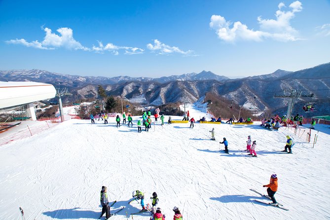 Elysian Gangchon Winter Ski with Nami Island Day Tour from Seoul - Key points at a glance