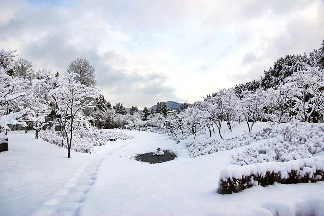 Elysian Gangchon Winter Ski with Nami Island Day Tour from Seoul - Three and a half hours on Nami Island