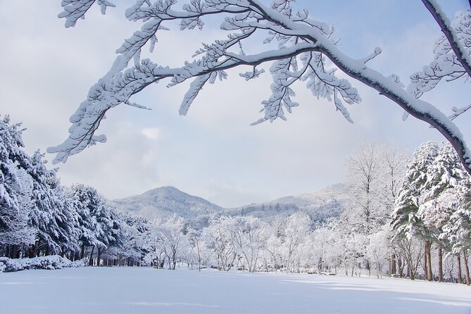 Elysian Gangchon Winter Ski with Nami Island Day Tour from Seoul - Sledding and sightseeing for a lower-pressure day