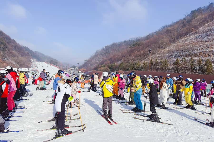 Elysian Ski Day Tour (Ski & Snow Board Full Package) - Equipment rental without the usual headache