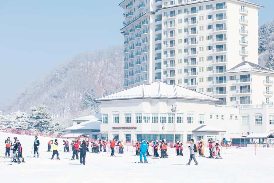 Elysian Ski Day Tour (Ski & Snow Board Full Package) - What to do about lunch