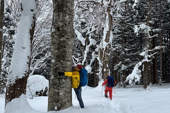 EN/CN Guided Snowshoeing and Snow Monkey Tour in Nagano - Key points at a glance