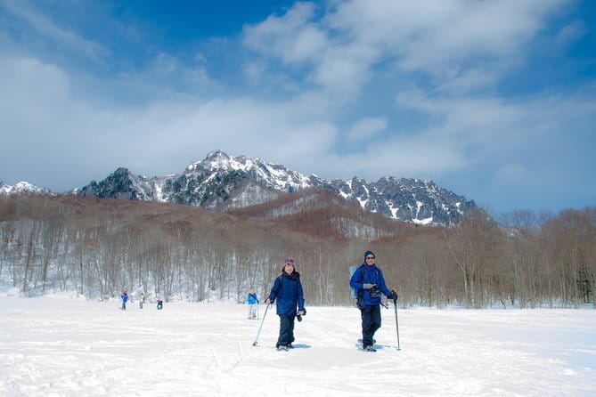 EN/CN Guided Snowshoeing and Snow Monkey Tour in Nagano - What the snowshoe section is really like