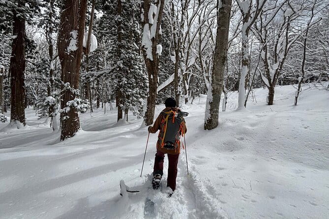 EN/CN Guided Snowshoeing and Snow Monkey Tour in Nagano - What is included, and what you still need to pay