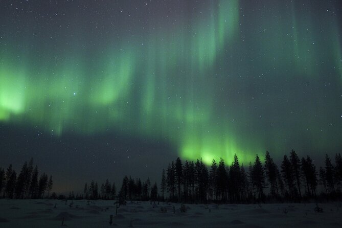 Evening Ski Trek to the Wilderness - Extra Small group - Leaving Rovaniemi for Perunkajärvi after dark