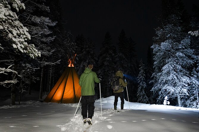 Evening Ski Trek to the Wilderness - Extra Small group - Watching the sky for stars and Northern Lights