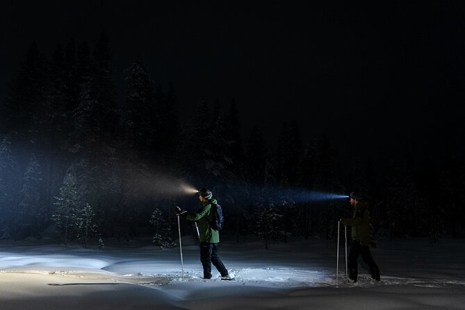 Evening Ski Trek to the Wilderness - Extra Small group - Is $118.96 a fair price?