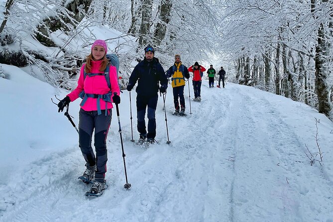 Experience Snowshoeing in Olympic Mountain Bjelašnica - The Kolijevka trail toward Heliodrom