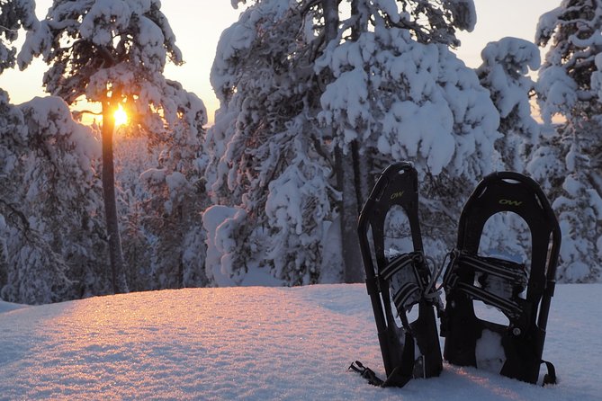 Explore Winter Woods: Snowshoe walk with local Biologist - Key points at a glance
