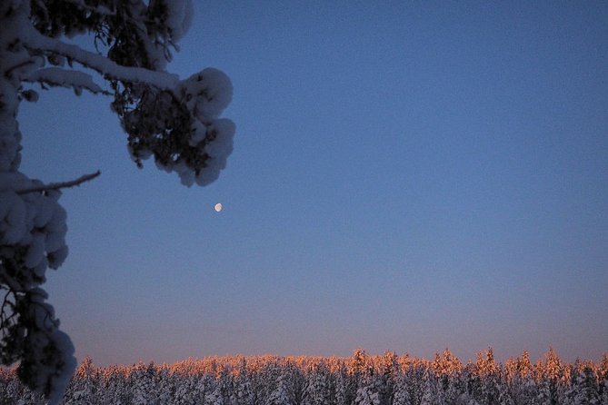 Explore Winter Woods: Snowshoe walk with local Biologist - Why this Inari snowshoe walk feels different