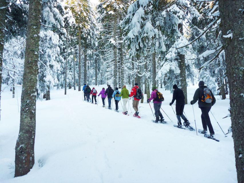 Feldberg: Guided Snowshoeing Tour in the Black Forest - Key points at a glance