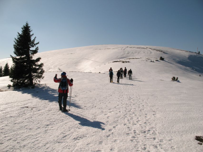 Feldberg: Guided Snowshoeing Tour in the Black Forest - Learning to walk in snowshoes