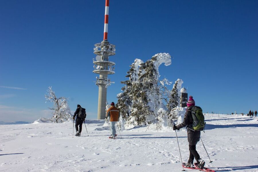 Feldberg: Guided Snowshoeing Tour in the Black Forest - The Todtnauer Hütte break