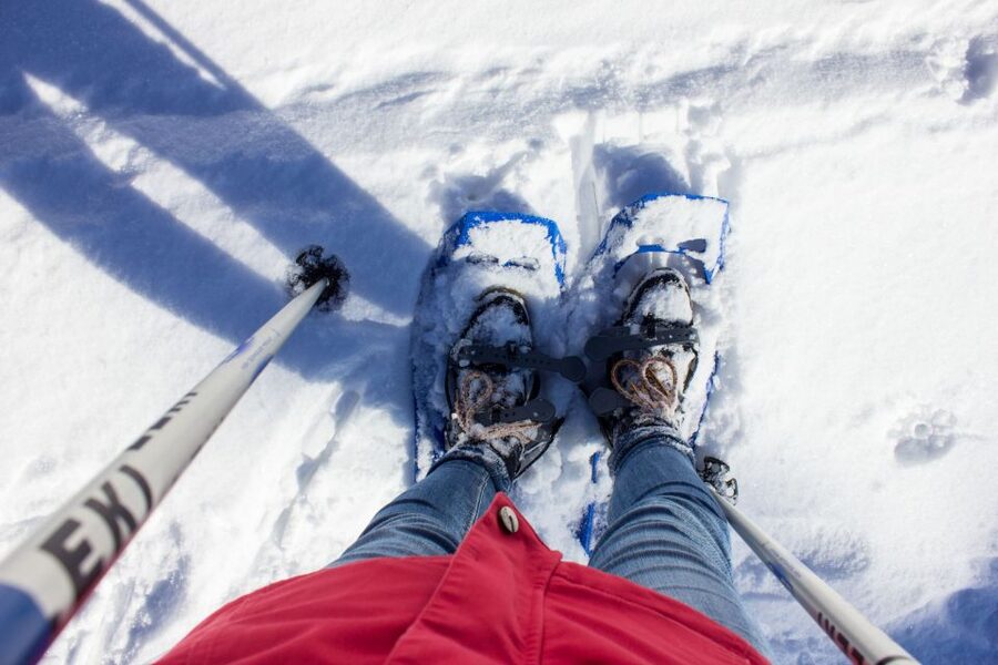 Feldberg: Guided Snowshoeing Tour in the Black Forest - Who should book this outing
