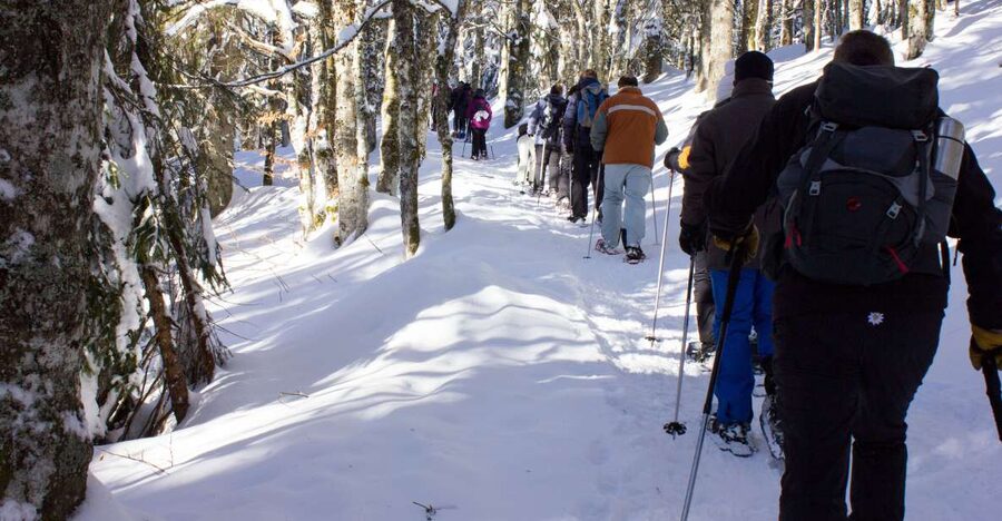 Feldberg: Guided Snowshoeing Tour in the Black Forest - Meeting at the Feldberg ski school