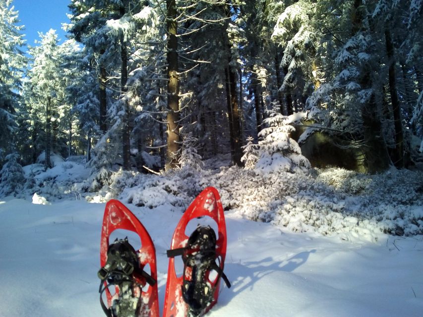 Fichtelgebirge: snowshoe hike - Key points to know before you go