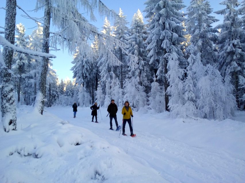 Fichtelgebirge: snowshoe hike - Snowshoeing beyond the packed winter paths