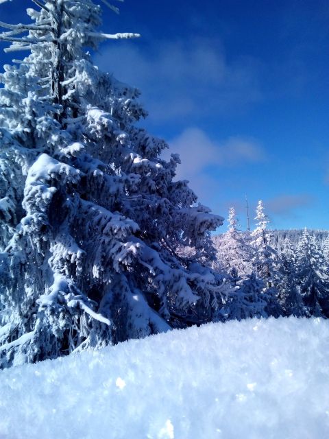 Fichtelgebirge: snowshoe hike - Views of the Ochsenkopf and Schneeberg