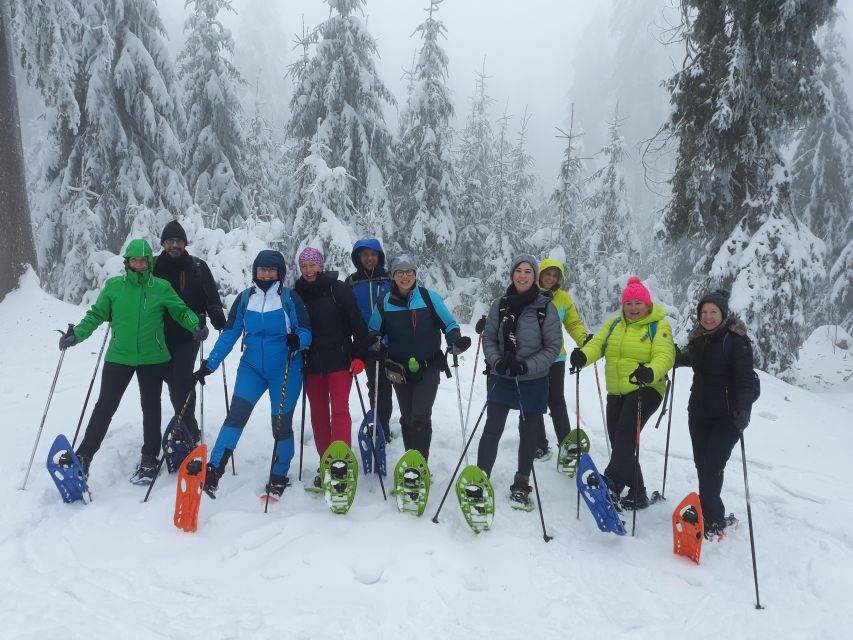 Fichtelgebirge: snowshoe hike - The three-hour route near Bischofsgrün