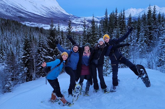 Fjords and Alps Snowshoe Tour in Lyngen Alps - Wildlife signs, not guaranteed sightings