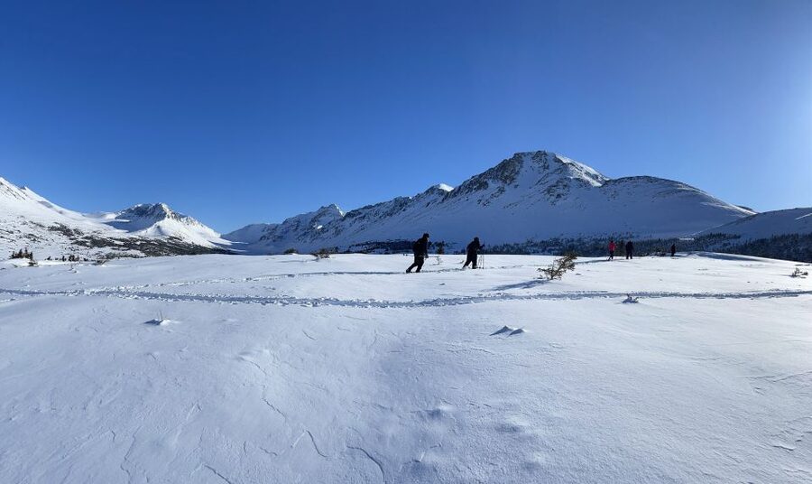 From Anchorage: Glen Alps Beginner's Snowshoeing Adventure - The three-hour plan, from Egan Center to alpine snow