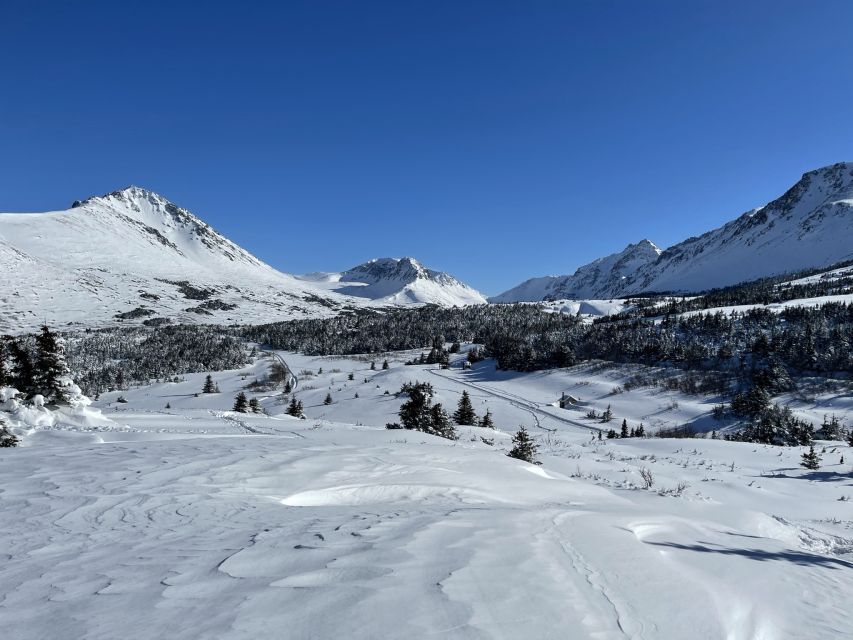 From Anchorage: Glen Alps Beginner's Snowshoeing Adventure - Clothing and comfort tips that matter