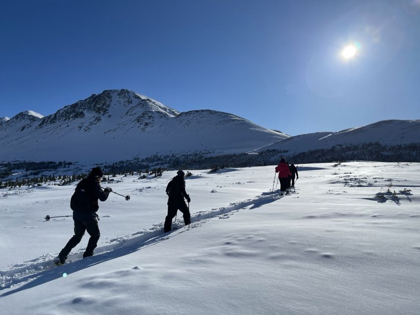 From Anchorage: Glen Alps Beginner's Snowshoeing Adventure - Forest paths, snowy meadows, and the South Fork valley