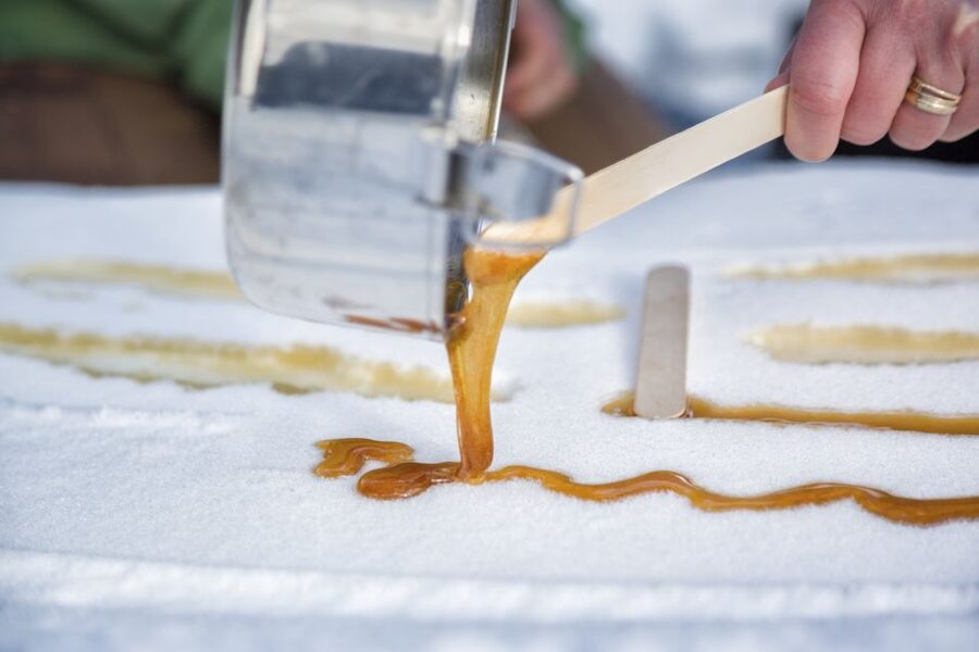 From Banff: Snowshoeing Tour in Kootenay National Park - Stories Along the Forest Trail