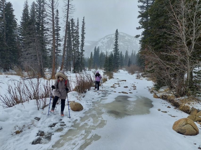 From Denver: Snowshoeing in Rocky Mountains - Lunch beside the trail