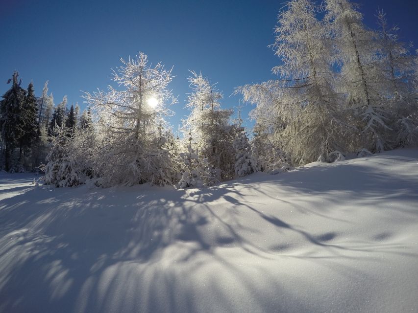 From Krakow: 3-Hour Skiing Experience Suitable for Beginners - Who will enjoy this winter outing most