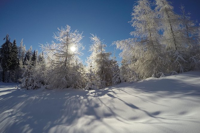From Krakow: Siepraw Skiing for Beginners - Is six hours good value for a Krakow day trip?