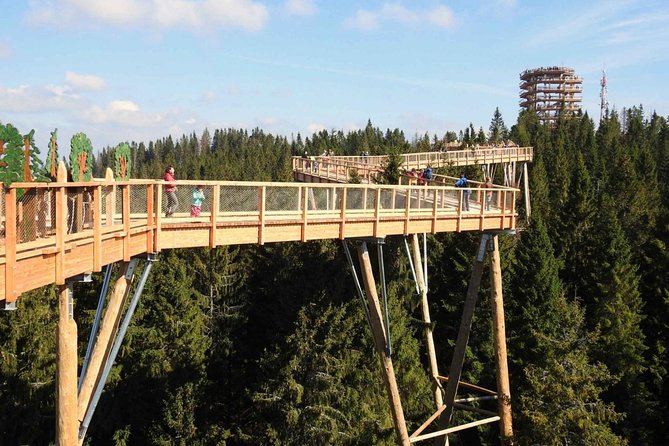 From Kraków: Slovakia Treetop Walk and Bachledka Ski - Bachledka’s treetop path above the forest