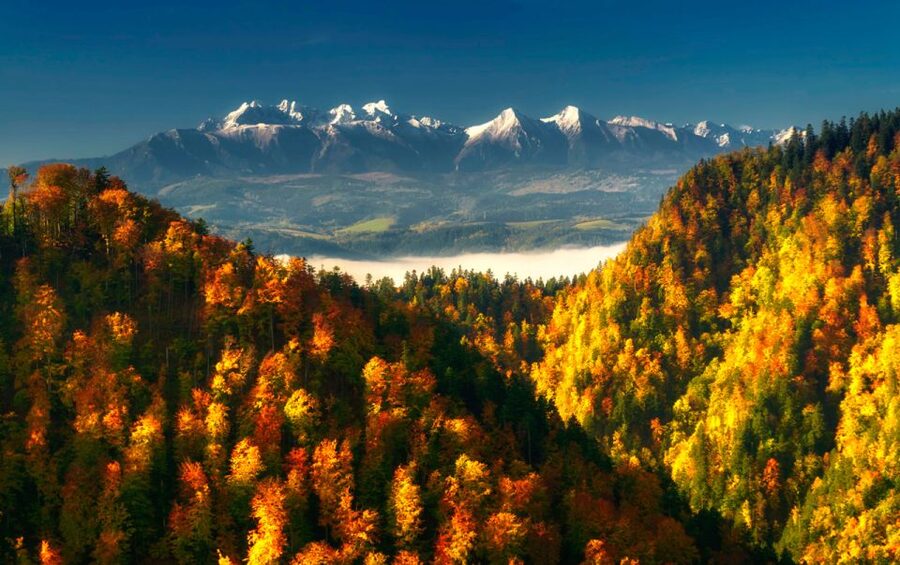 From Kraków: Witów Skiing and Zakopane Tour - Three hours at Witów Ski Station