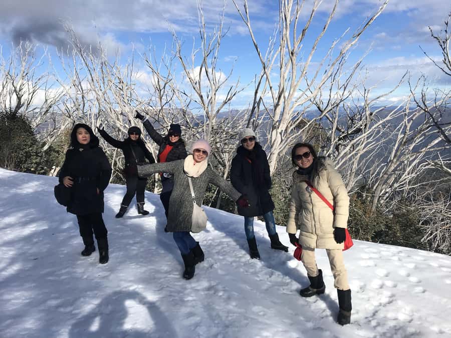 From Melbourne: Mt Buller Snow Day Small Group Boutique Tour - Quick points to know before booking