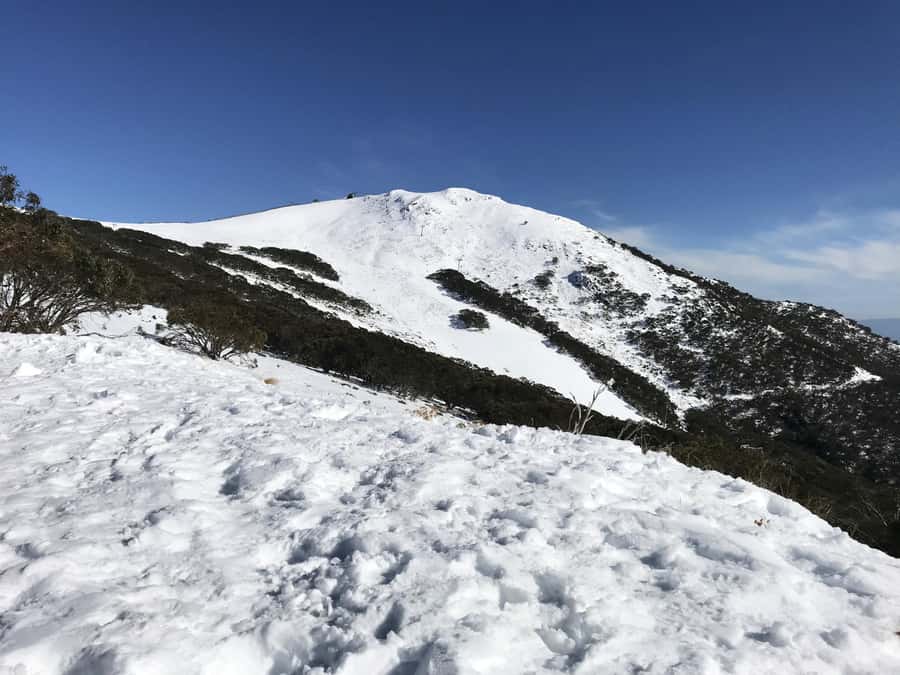 From Melbourne: Mt Buller Snow Day Small Group Boutique Tour - The one-hour Village Circuit Track