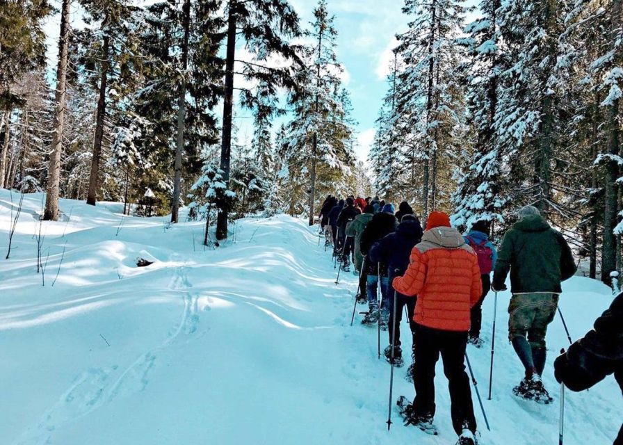 From Oslo: Oslomarka Forest Guided Snowshoeing Tour - From Oslo Central Station to the Snow