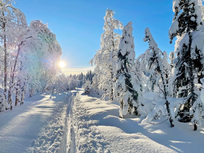 From Oslo: Oslomarka Forest Guided Snowshoeing Tour - A Break in the Winter Forest