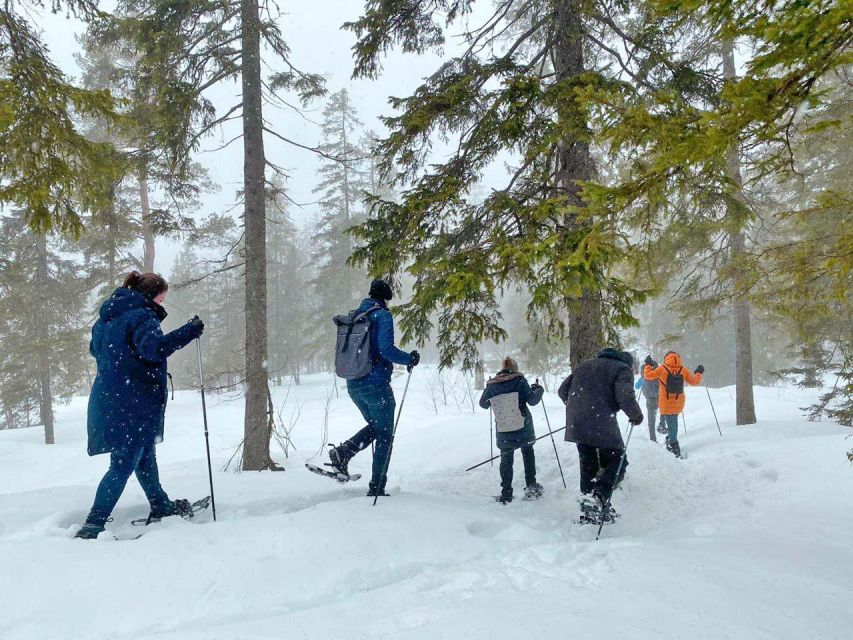 From Oslo: Oslomarka Forest Guided Snowshoeing Tour - The Ride Back and the End of the Morning