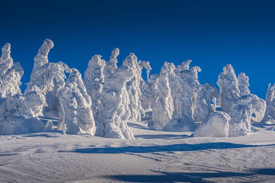 From Prague: Guided Snowshoe Tour with Mountain Views - From Prague to Ještěd in about 90 minutes
