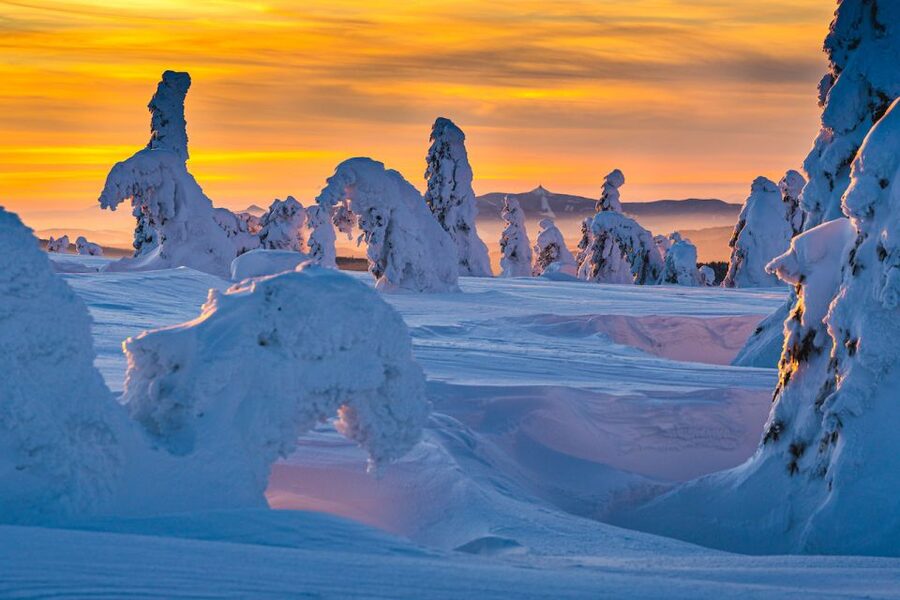 From Prague: Guided Snowshoe Tour with Mountain Views - Guides who shape the day