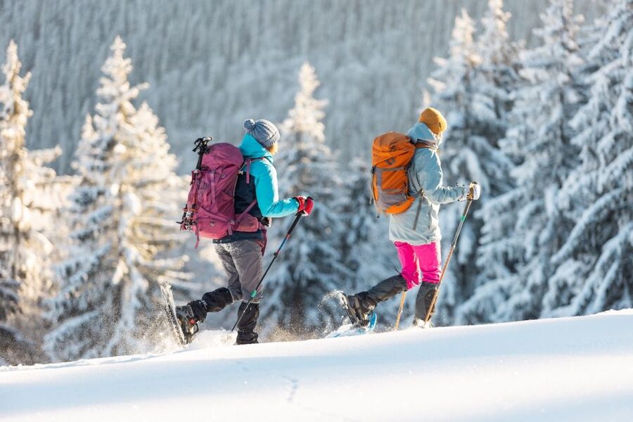 From Prague: Guided Snowshoe Tour with Mountain Views - What to bring for a comfortable day