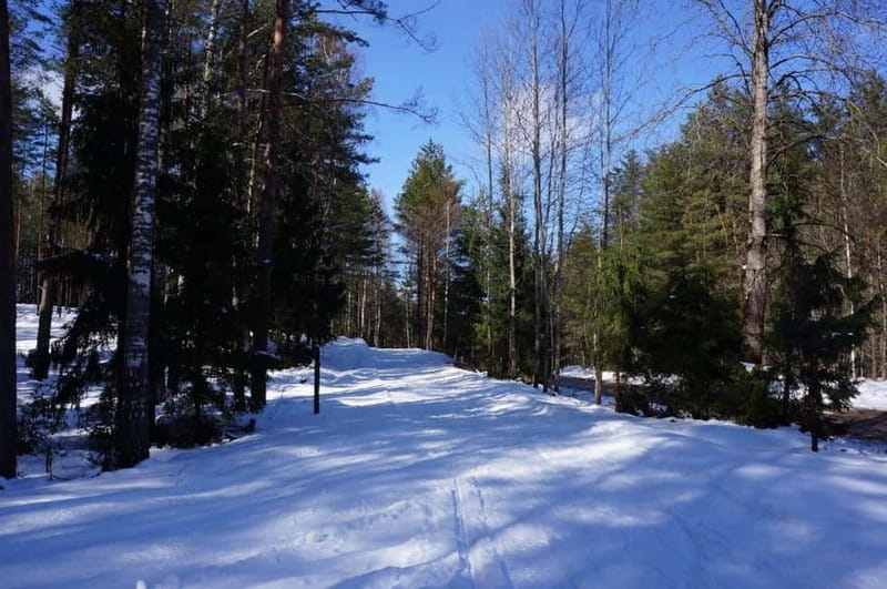 From Riga: Cross-country skiing and beating heart memorial - Choosing skis and getting ready outdoors