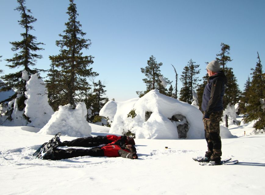 From Ruka: Snowshoeing in Riisitunturi National park - Key points to know before booking