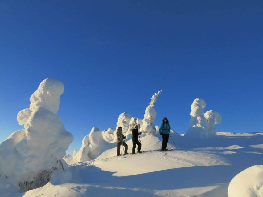 From Ruka: Snowshoeing in Riisitunturi National park - From Ruka to the forests of Riisitunturi